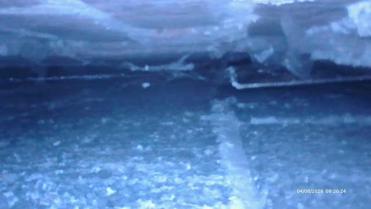Borescope view of underfloor void with debris and moisture indicators