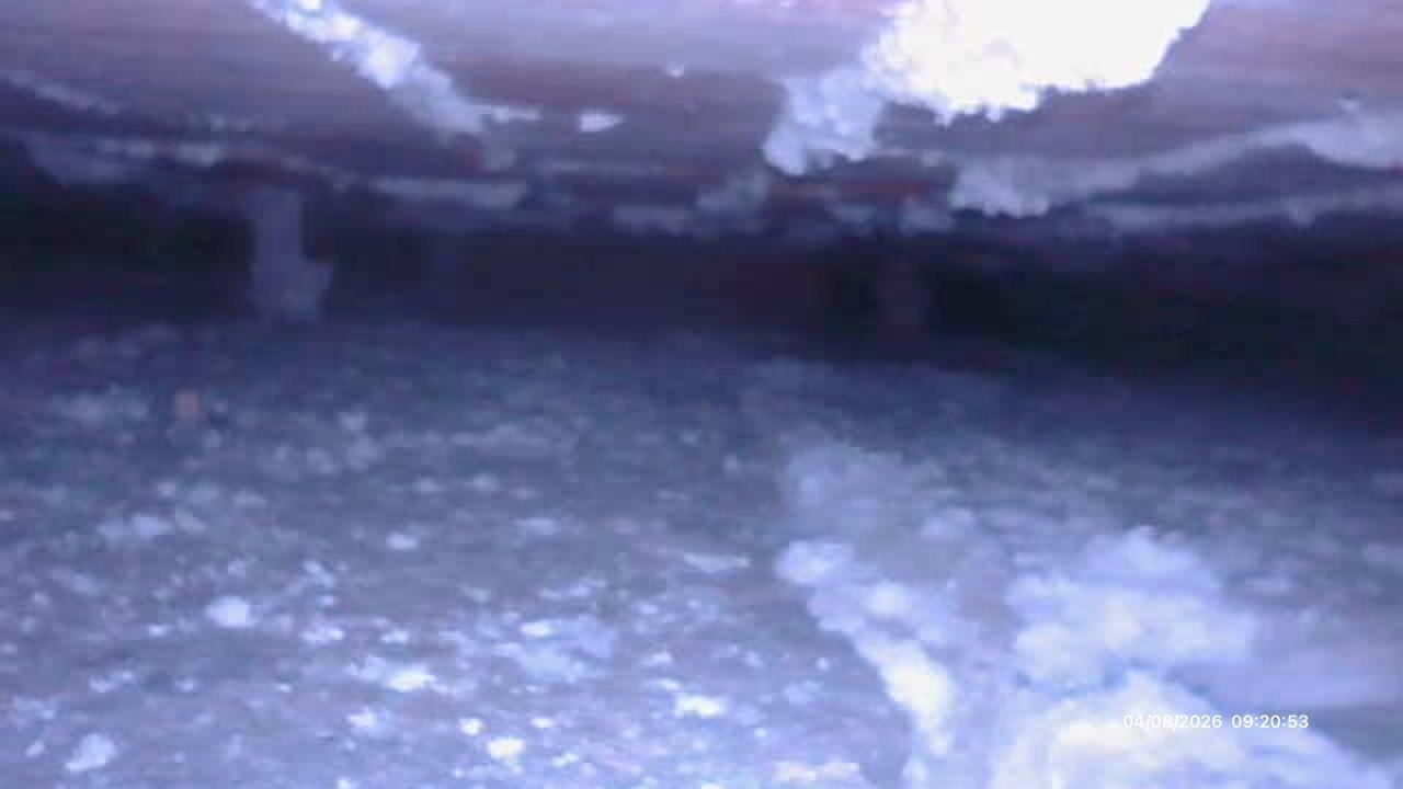 Borescope inspection showing sub-floor timber and ground conditions