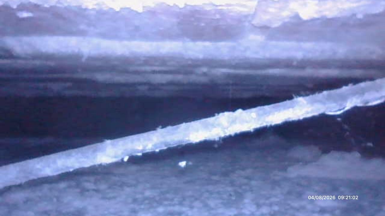 Borescope image inside sub-floor void, Bridgend property survey