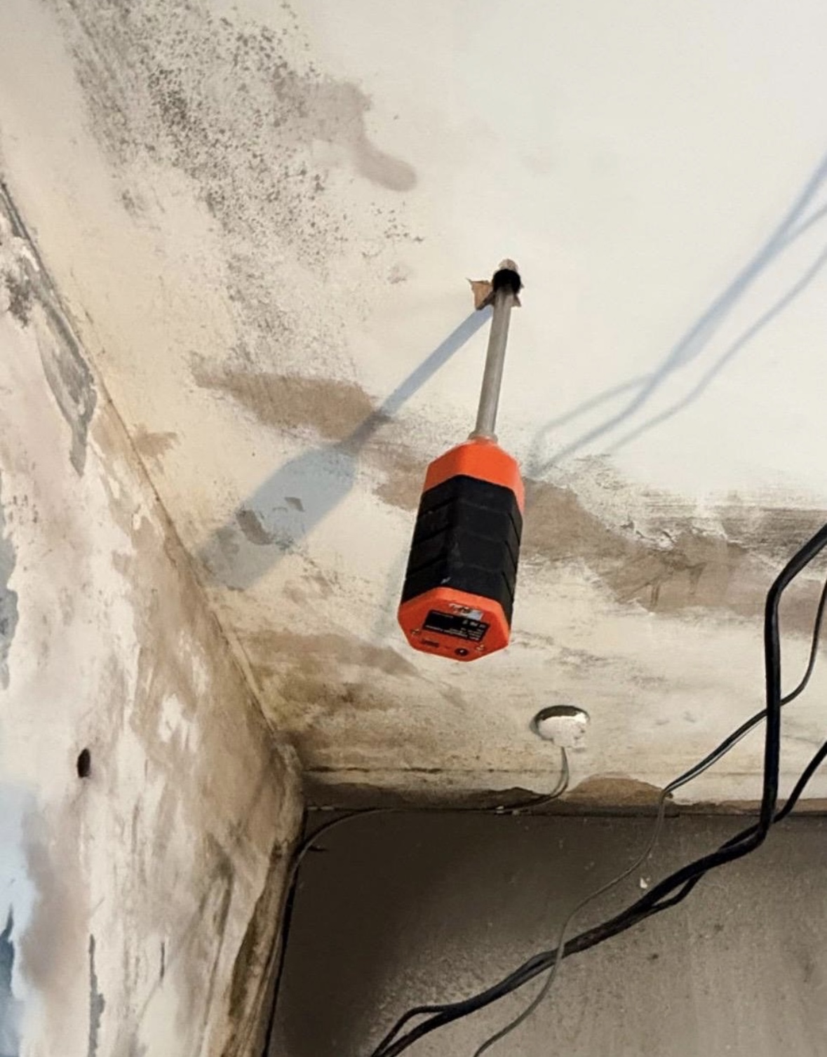 Extensive black mould growth along the ceiling and wall junction with a damp meter probe inserted into the plaster