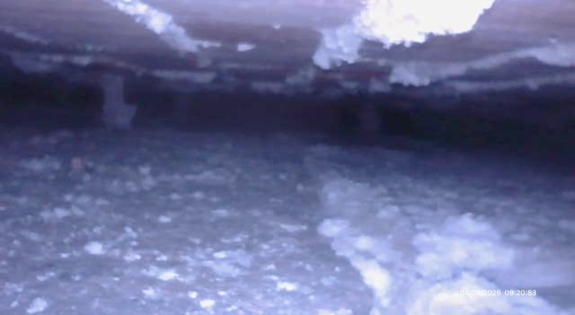 Borescope image of a sub-floor void showing joists above heavy white salt crystal deposits on the oversite