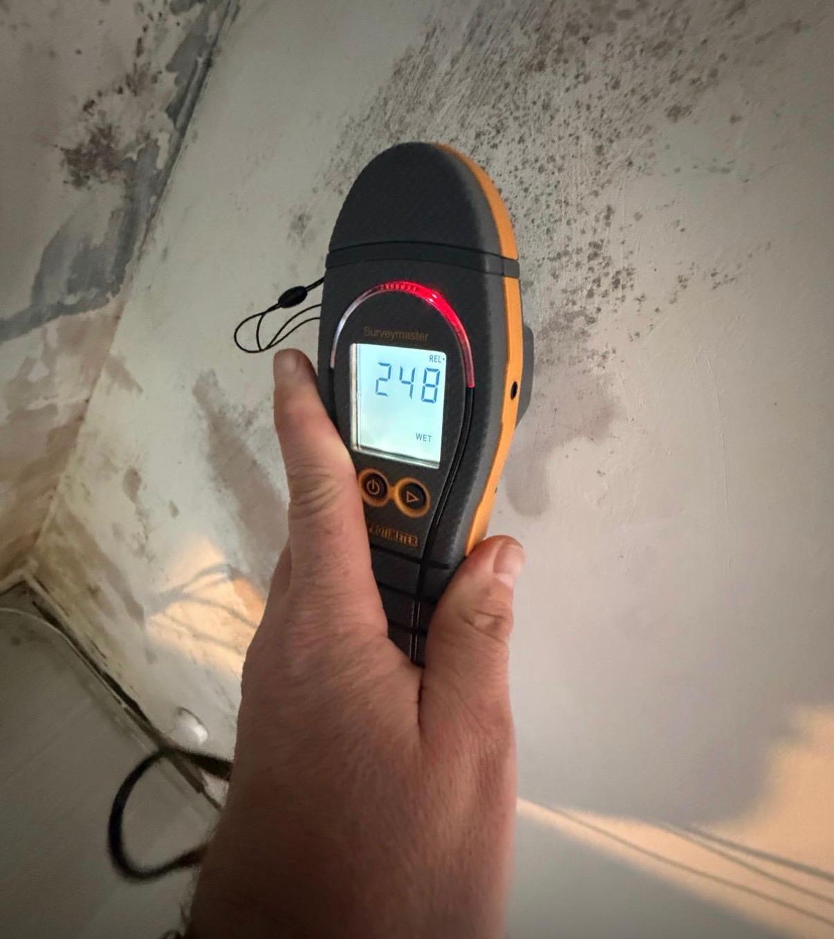 Protimeter Surveymaster reading 24.8 on a mould-affected wall during a Bridgend survey