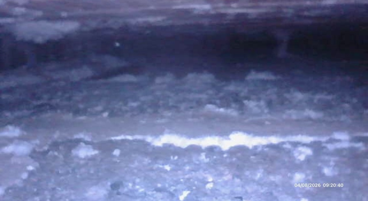 Close-up borescope image showing dense white efflorescence and salt crystals covering a sub-floor surface