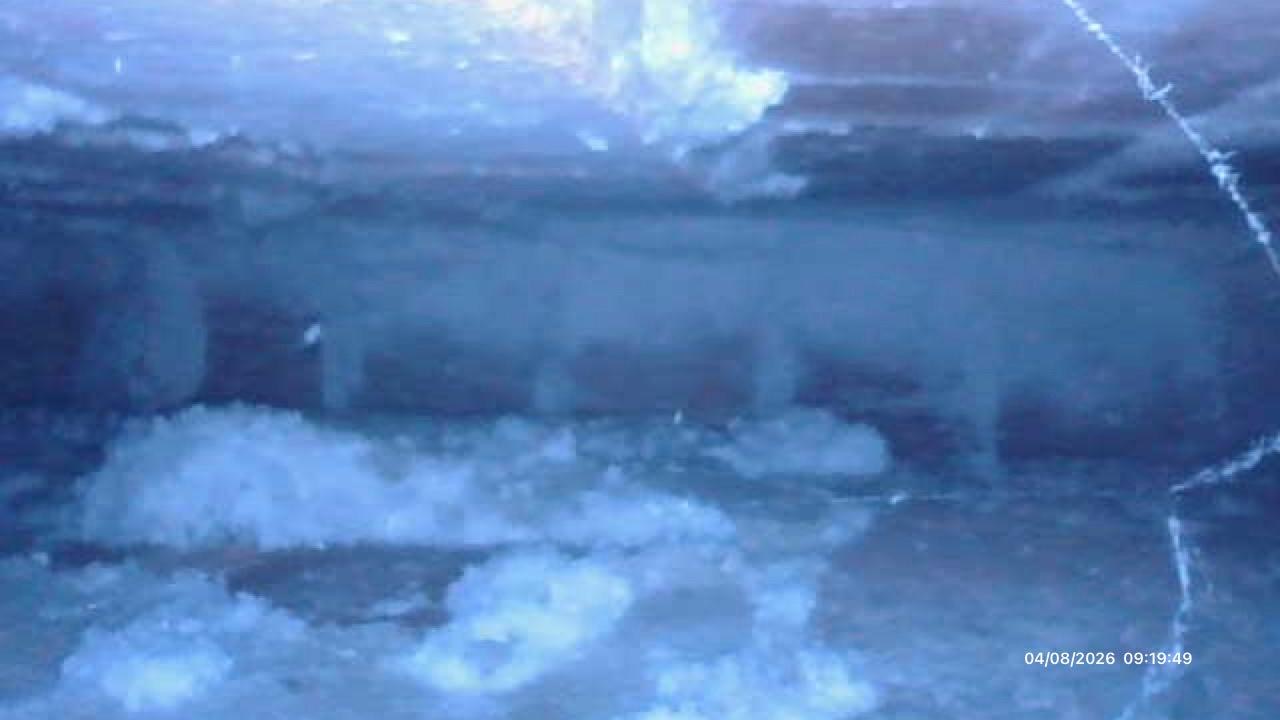 Close-up borescope image of sub-floor timbers and rubble in Bridgend home