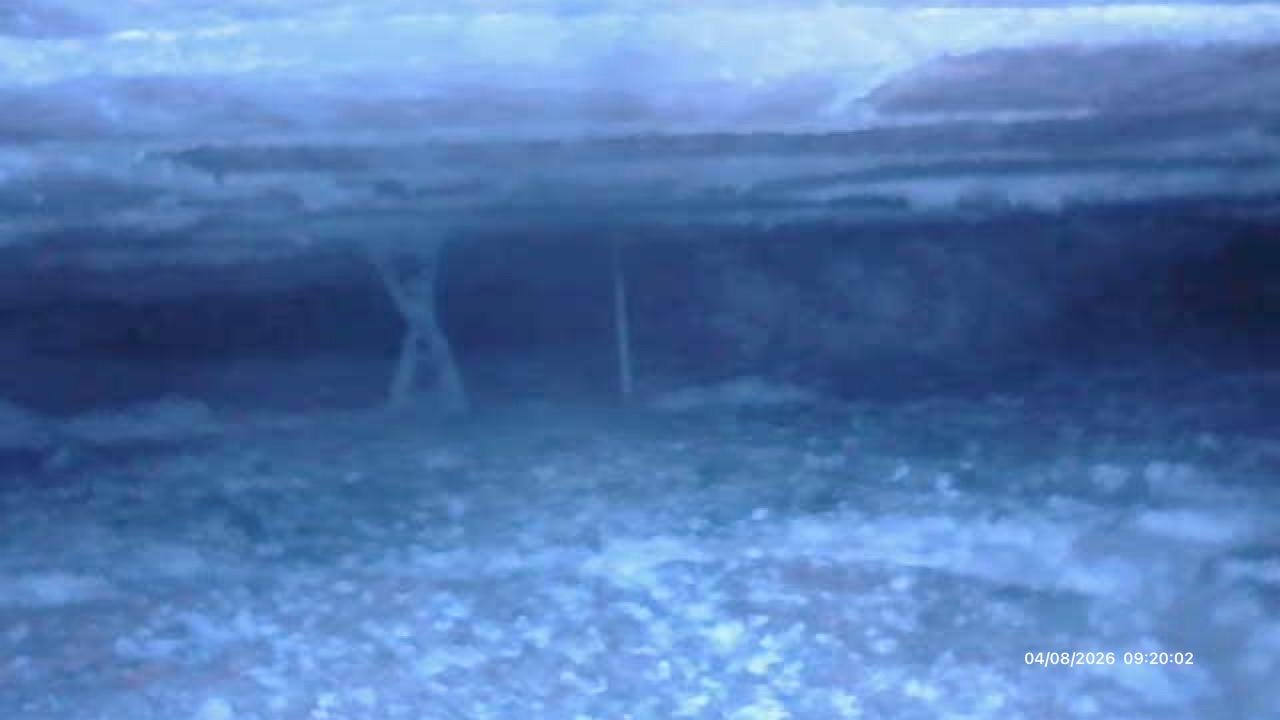 Sub-floor borescope inspection during mould and damp survey